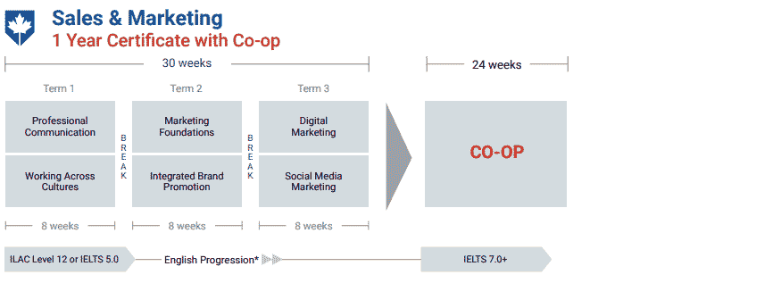ILAC-College-Sales-Marketing-1-YEAR-CO-OP