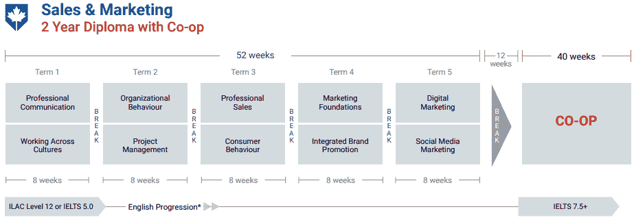 아일락-컬리지-Sales-Marketing-2-YEAR-CO-OP