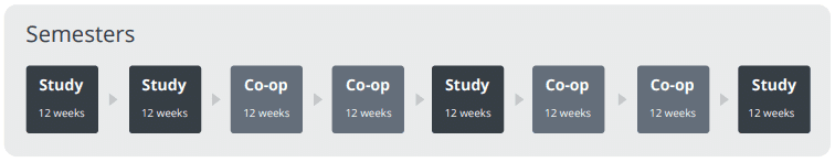 캐나디언-컬리지- IT-Co-op